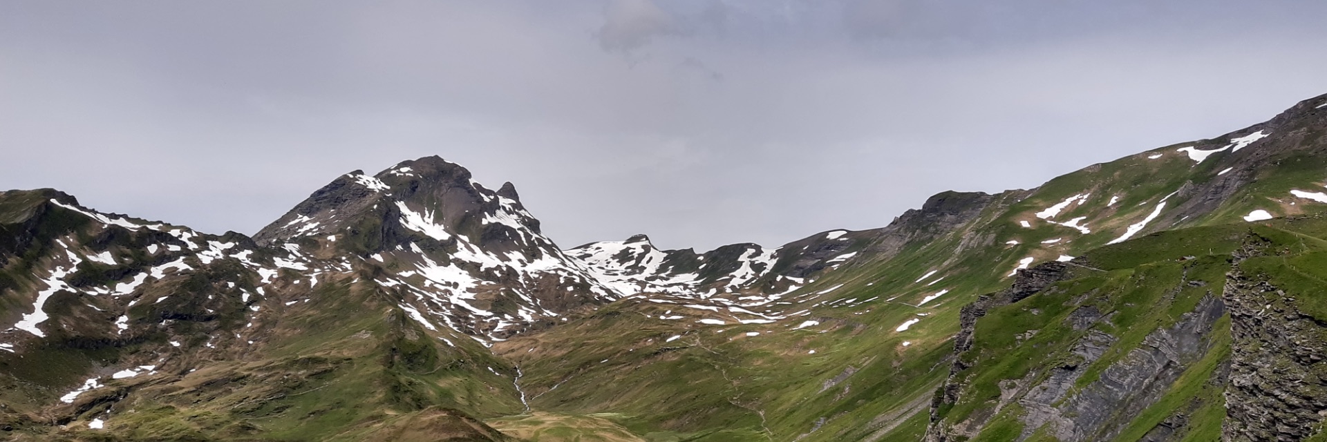 Grünes Alpental mit schneebedeckten Gipfeln