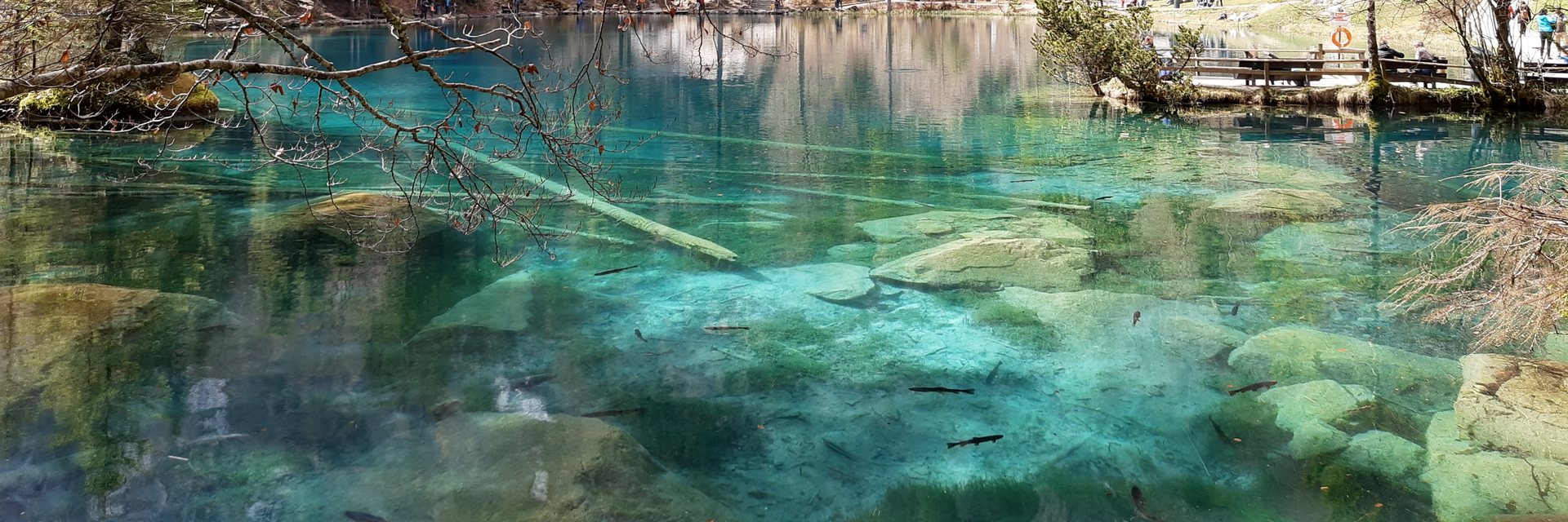 Crystal-clear turquoise water of an alpine lake
